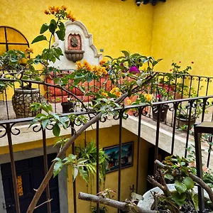 Albergue Maison Bougainvillea, Antigua